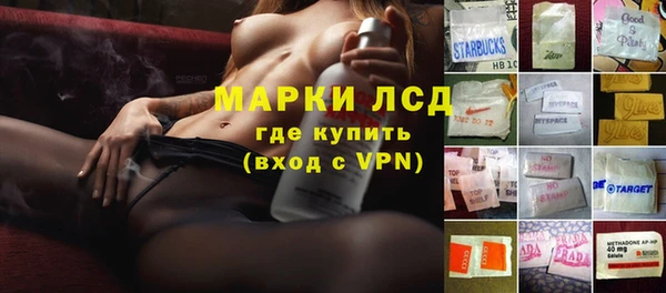ГАЛЛЮЦИНОГЕННЫЕ ГРИБЫ Алзамай