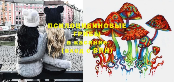 ГАЛЛЮЦИНОГЕННЫЕ ГРИБЫ Алзамай