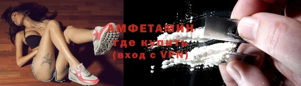 гидра Алексеевка