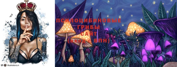 гидра Алексеевка