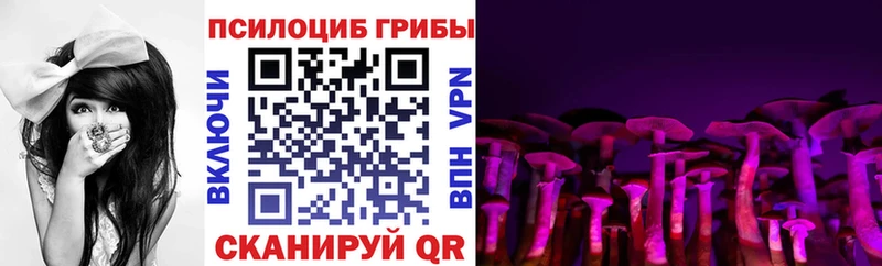 Псилоцибиновые грибы прущие грибы  Балабаново 